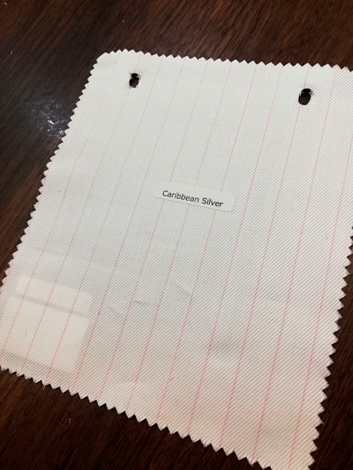 カリビアン_20200407_221607